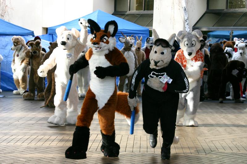 Yappy-IMG 2528