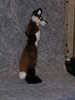 FJ014 fc2005 sj small