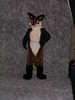FJ034 fc2005 sj small