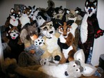 Highlight for Album: Memorial Day Fur 2004