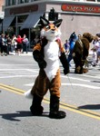 Highlight for Album: Mountain View Parade 2004