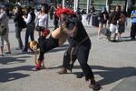 fanime 2009  5525
