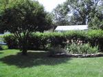 dvc00249