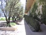 dvc00766