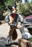 Highlight for album: Star Fox in Sonora 2008