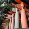 kyoto_fushimi_inari_1031