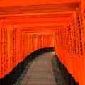 kyoto_fushimi_inari_1110