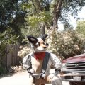 sfsonora_4828