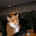 fc2008_diadexxus_124