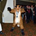 fc2007_aaron_231