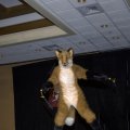 fc2006_masquerade_wildfire_3