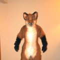 fc2006_wildfire_fox_13