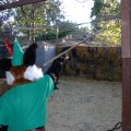 northern_renfaire_2005_1780