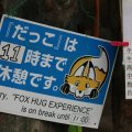 fox_village_2016_4644