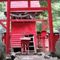 fox_village_2016_4770