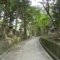 kyoto_fushimi_inari_1016