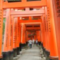 kyoto_fushimi_inari_1033