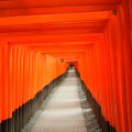 kyoto_fushimi_inari_1043