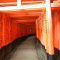 kyoto_fushimi_inari_1048