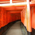 kyoto_fushimi_inari_1048