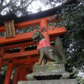 kyoto_fushimi_inari_1107