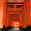 kyoto_fushimi_inari_1109