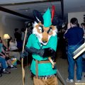 fc2006_kyreeth_fjmccloud_robin_hood