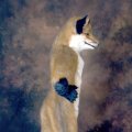fc2006_kyreeth_wildfire_24