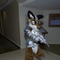 fc2006_starfox_proto_04