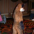 fc2006_wildfire_fox_03