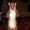 fc2006_wildfire_fox_04