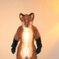 fc2006_wildfire_fox_05