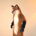 fc2006_wildfire_fox_06