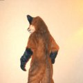 fc2006_wildfire_fox_08