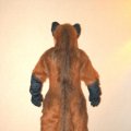 fc2006_wildfire_fox_09