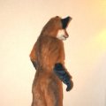 fc2006_wildfire_fox_10