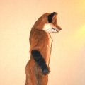 fc2006_wildfire_fox_11