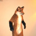 fc2006_wildfire_fox_12