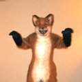 fc2006_wildfire_fox_14