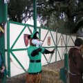 fjmccloud_northern_renfaire_2004_595