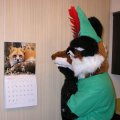 fjmccloud_robin_hood_outfit_2004_80